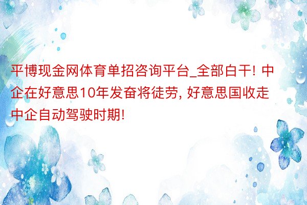 平博现金网体育单招咨询平台_全部白干! 中企在好意思10年发奋将徒劳, 好意思国收走中企自动驾驶时期!