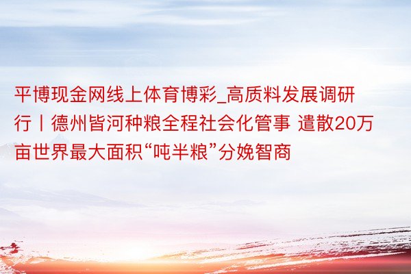 平博现金网线上体育博彩_高质料发展调研行丨德州皆河种粮全程社会化管事 遣散20万亩世界最大面积“吨半粮”分娩智商