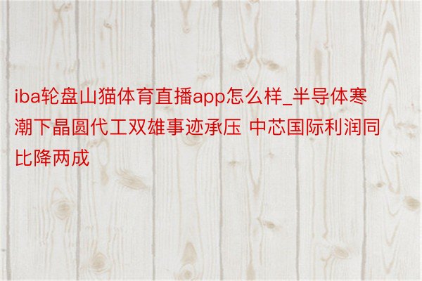 iba轮盘山猫体育直播app怎么样_半导体寒潮下晶圆代工双雄事迹承压 中芯国际利润同比降两成