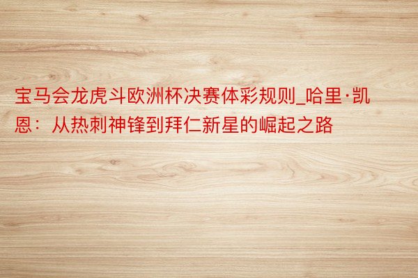 宝马会龙虎斗欧洲杯决赛体彩规则_哈里·凯恩：从热刺神锋到拜仁新星的崛起之路