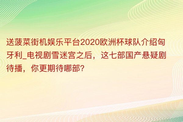 送菠菜街机娱乐平台2020欧洲杯球队介绍匈牙利_电视剧雪迷宫之后，这七部国产悬疑剧待播，你更期待哪部？